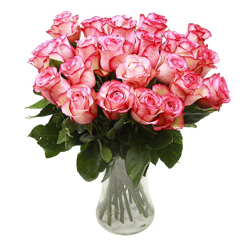 Roses Fraîches Dans Le Vase. Bouquet De Fleurs Aux Bourgeons