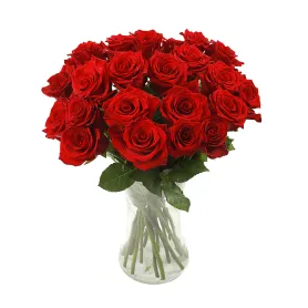 Red Roses Title «CityFlowers» in Belgium»