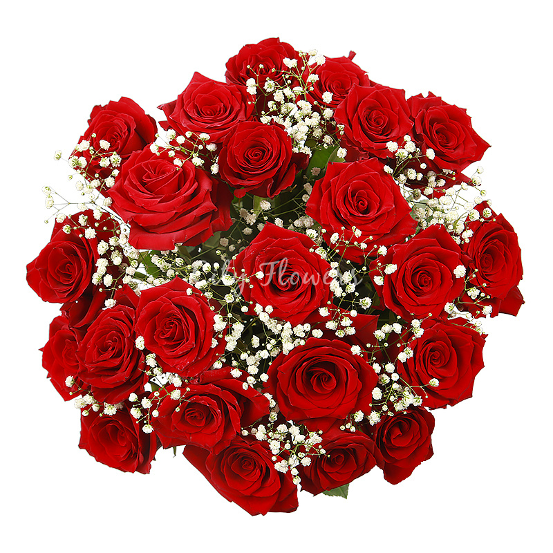 Roses rouges avec gypsophile livré par un fleuriste local | CityFlowers