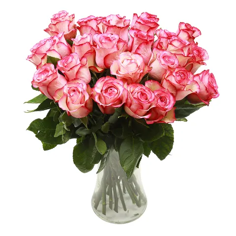 Roses roses vives от интернет-магазина «CityFlowers» в }