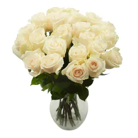 Snow-white roses Title «CityFlowers» in Belgium»