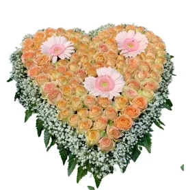 Coeur Orange Titre «CityFlowers» en Belgique»