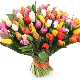 Queen Titel «CityFlowers» in België»