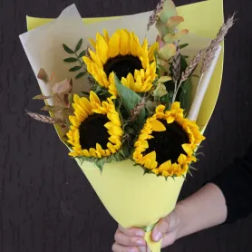 Style d'&eacute;t&eacute; Titre «CityFlowers» en Belgique»