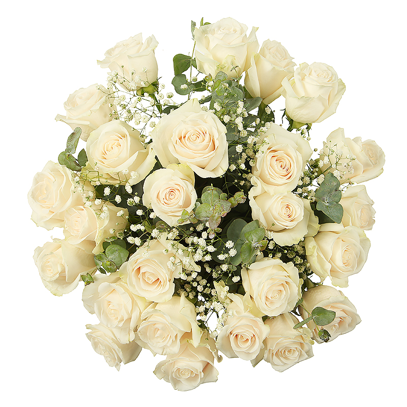Roses blanches avec gypsophile livré par un fleuriste local | CityFlowers